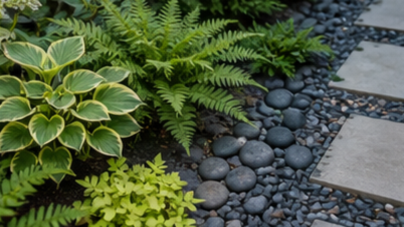 Side Yard Walkway Ideas planting and material detail